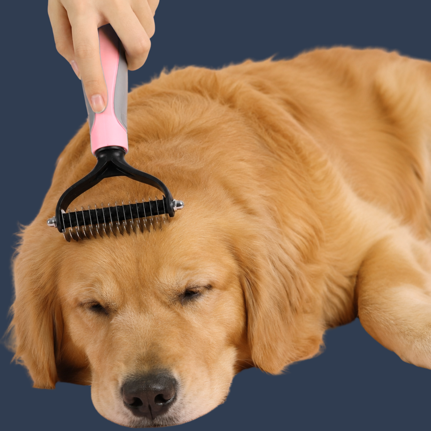 Deshedding Grooming Brush