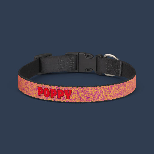 Sunset Glow Clip-on Collar