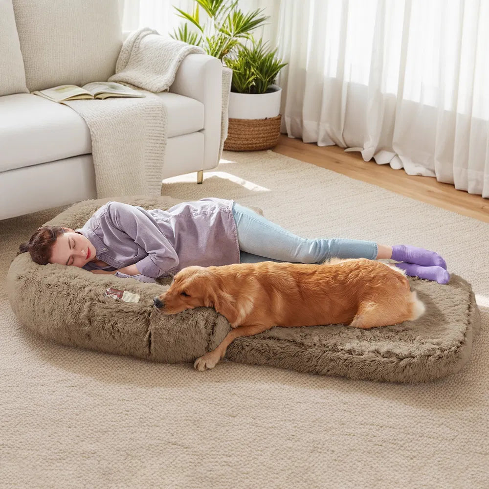 Luxe Foldable Orthopedic Dog Sofa Bed