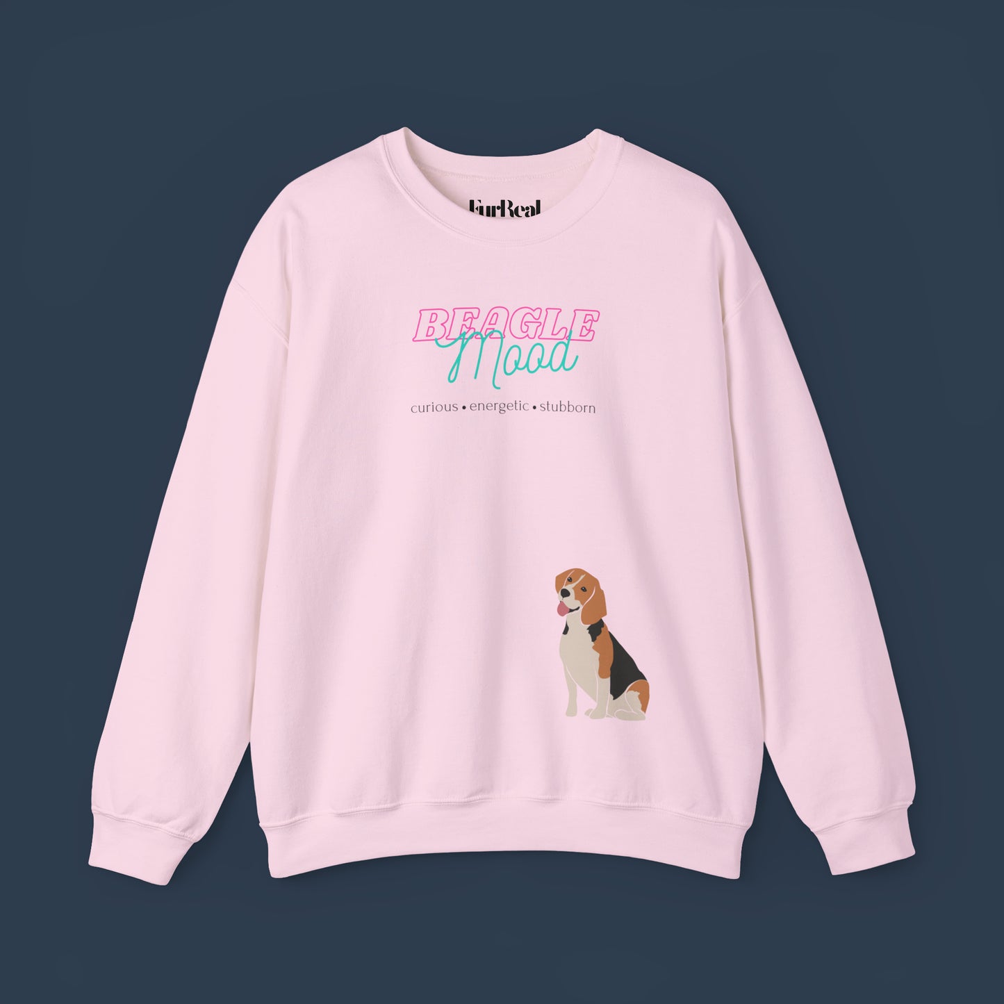 Beagle Mood