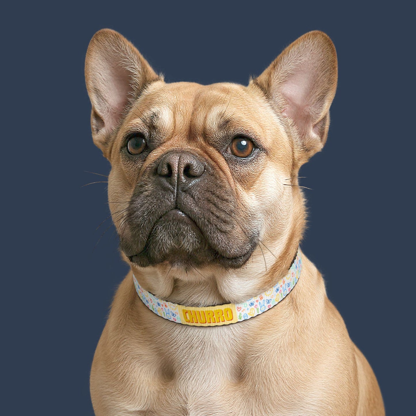 Whimsy Garden Clip-On Collar