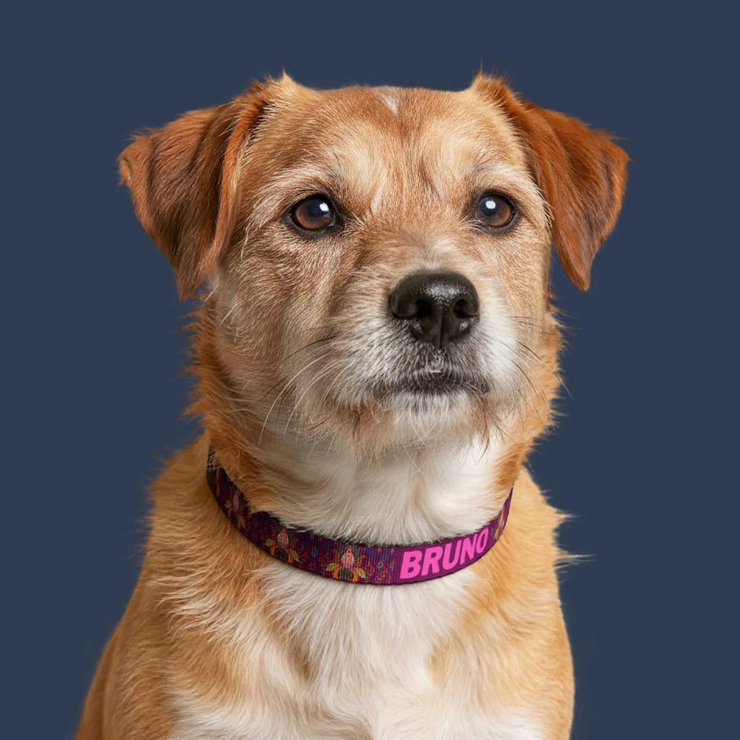 Midnight Lotus Clip-on Collar