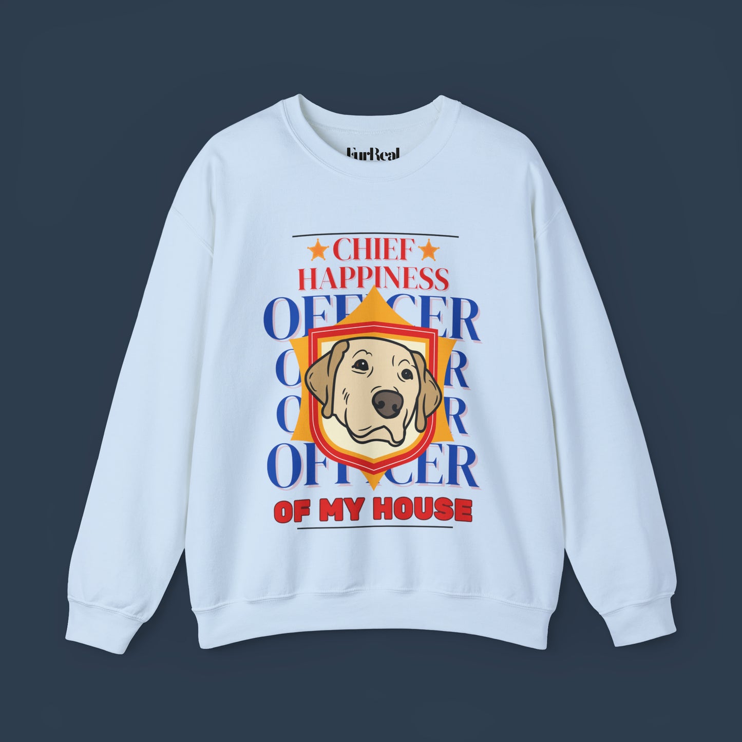 Chief Happiness Officer