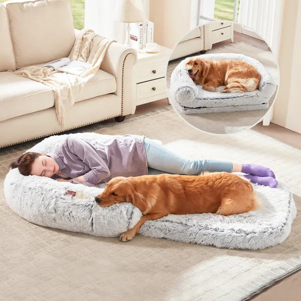 Luxe Foldable Orthopedic Dog Sofa Bed