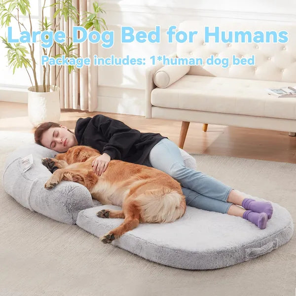Luxe Foldable Orthopedic Dog Sofa Bed